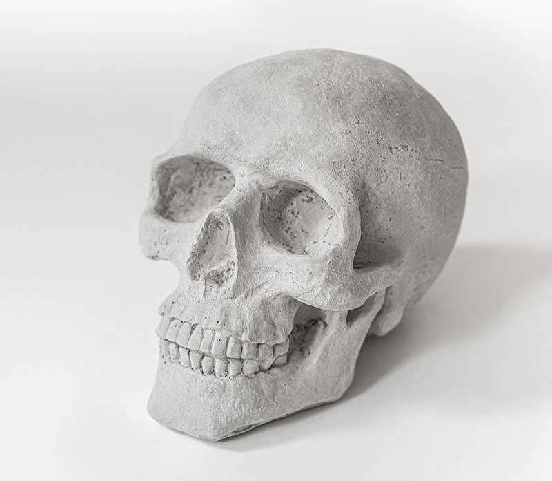 Real Concrete Skull