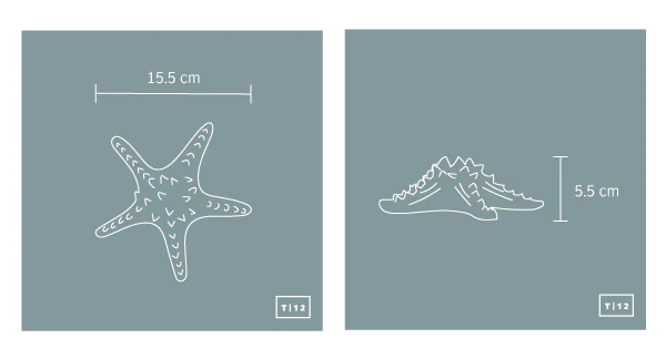 Set of starfishes